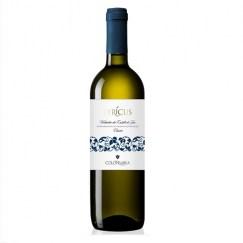 bottiglia verdicchio lyricus colonnara